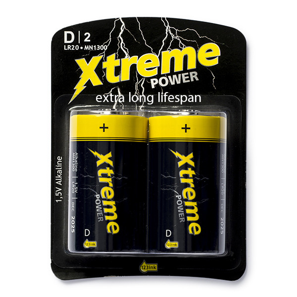 123ink Xtreme Power LR20 D battery (2-pack) LR20P2B/10C MN1300C ADR00044 - 1