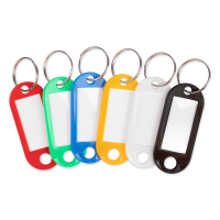 123ink assorted keyrings (10-pack)  301100