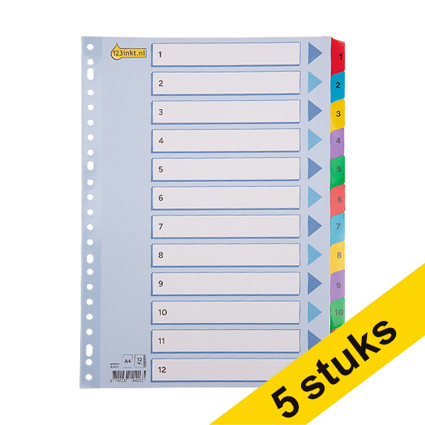 123ink coloured A4 cardboard indexes with 1-12 (23 holes)(5-pack)  301712 - 1