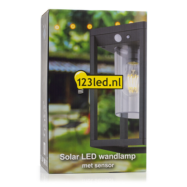 123inkt 123led Kensington solar wall lamp with sensor KH2083DN LDR08542 - 5