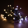 40 LED lights | warm white & cold white | remote control | 5.9m