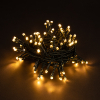 80 LED lights | warm white & extra warm white | remote control | 8.9m