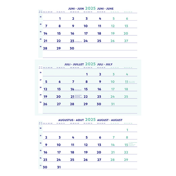 Brepols 2025 three-month wall calendar 30cm x 60cm 1.854.9900.00.8.0 261426 - 1