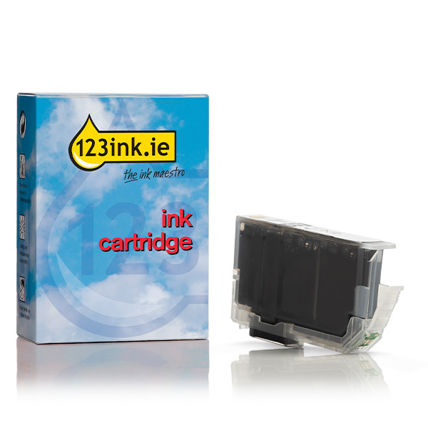 Canon PFI-300PBK photo black ink cartridge (123ink version) 4193C001C 011705 - 1