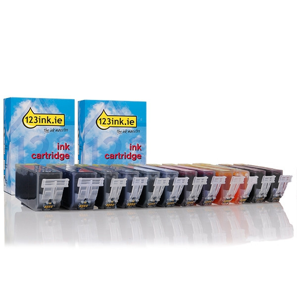 Canon PGI-525PGBK / CLI-526BK/C/M/Y/GY ink cartridge 12-pack  with chip (123ink version)  120852 - 1