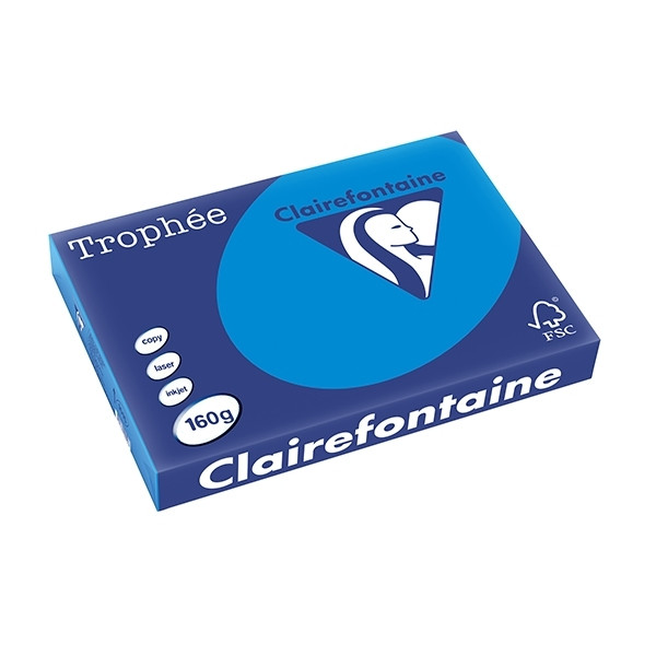 Clairefontaine Caribbean blue A3 coloured paper, 160 gsm (250 sheets) 1015PC 250157 - 1