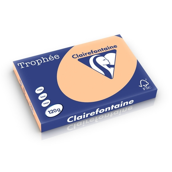 Clairefontaine apricot A3 coloured paper, 120 gsm (250 sheets) 1276C 250215 - 1