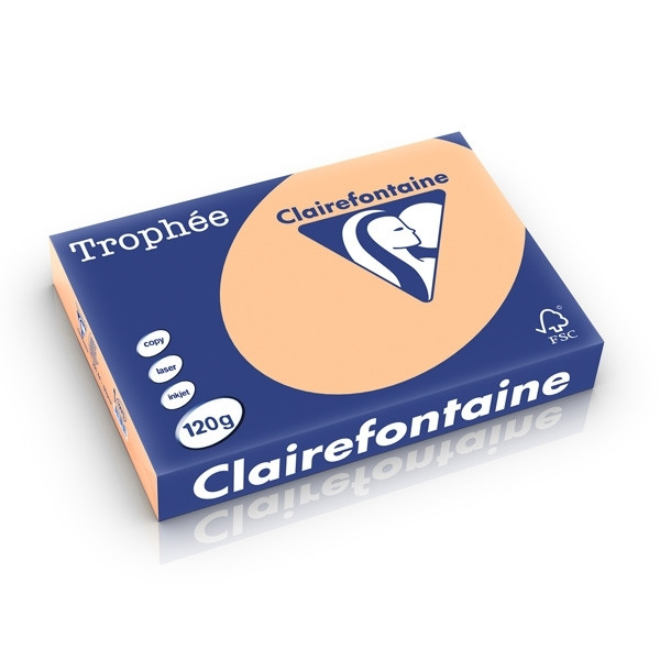 Clairefontaine apricot A4 coloured paper, 120gsm (250 sheets) 1275C 250197 - 1