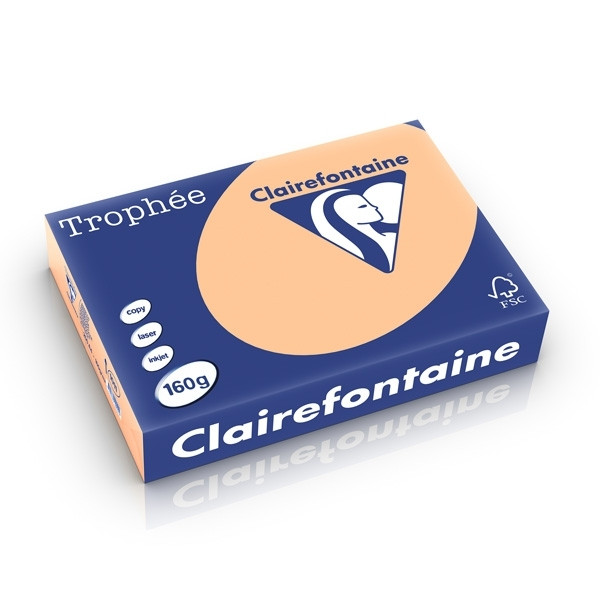 Clairefontaine apricot A4 coloured paper, 160 gsm (250 sheets) 1011C 250237 - 1