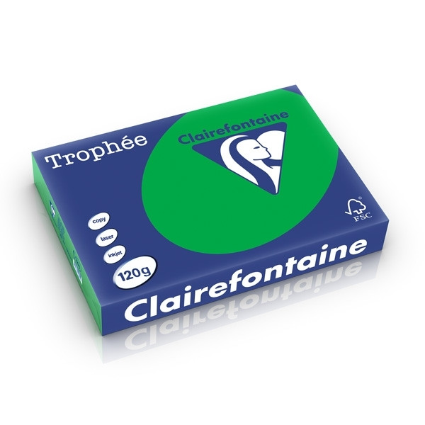 Clairefontaine billiard green A4 coloured paper, 120gsm (250 sheets) 1271C 250212 - 1