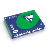 Clairefontaine billiard green A4 coloured paper, 120gsm (250 sheets) 1271C 250212