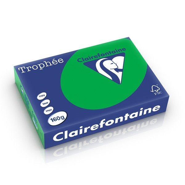 Clairefontaine billiard green A4 coloured paper, 160gsm (250 sheets) 1007C 250265 - 1