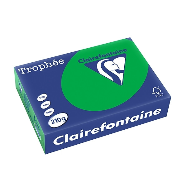 Clairefontaine billiard green A4 coloured paper, 210gsm (250 sheets) 2215C 250104 - 1