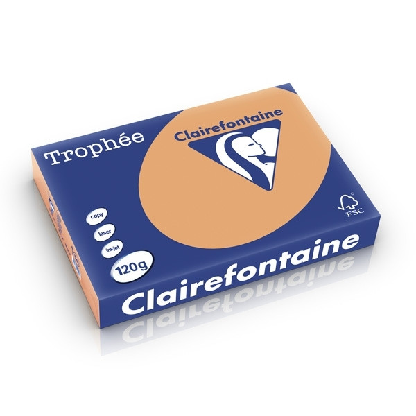 Clairefontaine caramel A4 coloured paper, 120gsm (250 sheets) 1244C 250196 - 1