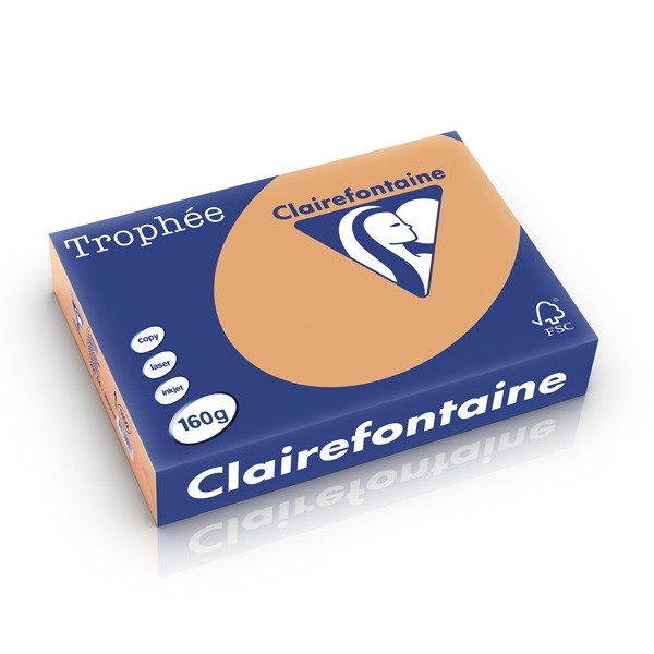 Clairefontaine caramel A4 coloured paper, 160gsm (250 sheets) 1102C 250235 - 1