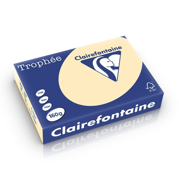 Clairefontaine chamois A4 coloured paper, 160 gsm (250 sheets) 1040C 250234 - 1