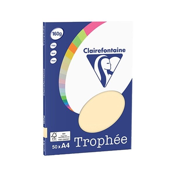 Clairefontaine chamois A4 coloured paper, 160gsm (50 sheets) 4156C 250065 - 1