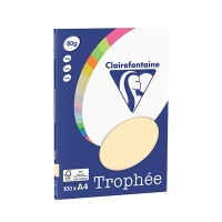 Clairefontaine chamois A4 coloured paper, 80gsm (100 sheets) 4106C 250040