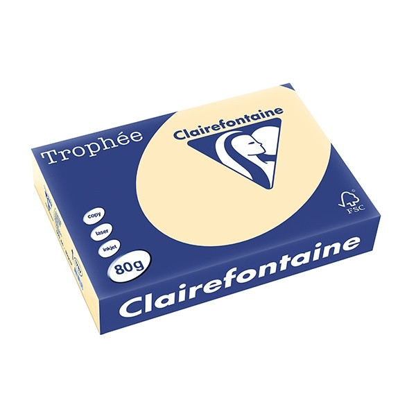 Clairefontaine chamois A4 coloured paper, 80gsm (500 sheets) 1787C 250049 - 1