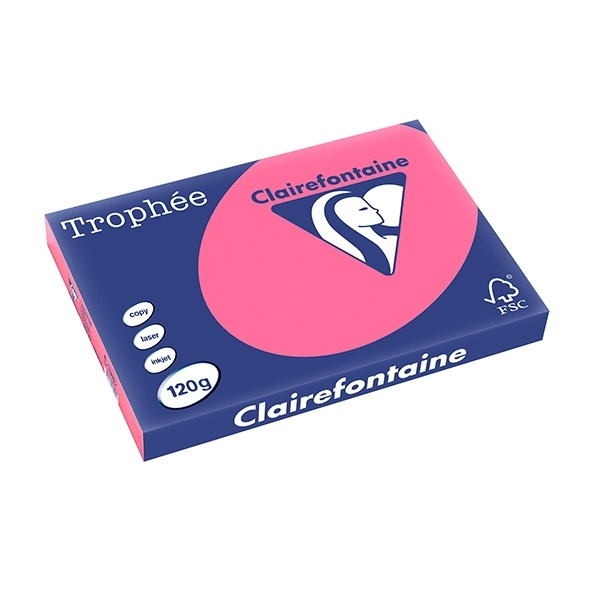 Clairefontaine fuchsia A3 coloured paper, 120 gsm (250 sheets) 1319C 250137 - 1