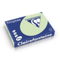 Clairefontaine golf green A4 coloured paper, 120gsm (250 sheets) 1215C 250207