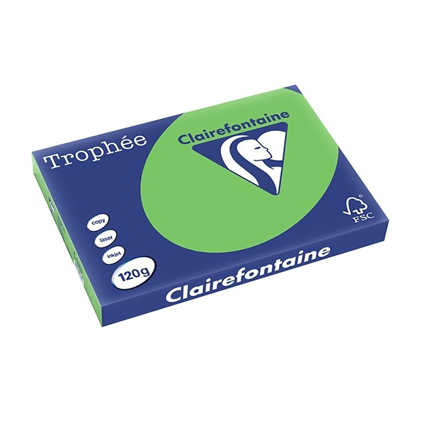 Clairefontaine grass green A3 coloured paper, 120gsm (250 sheets) 1383PC 250141 - 1