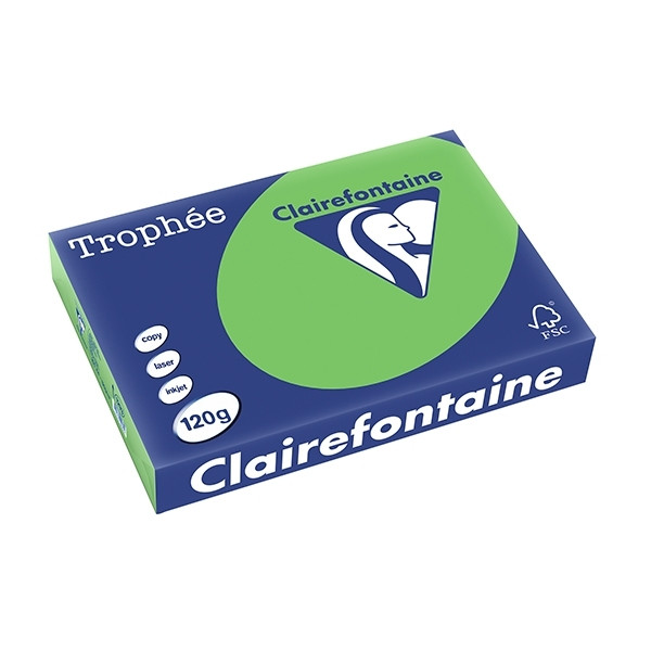 Clairefontaine grass green A4 coloured paper, 120gsm (250 sheets) 1293C 250085 - 1