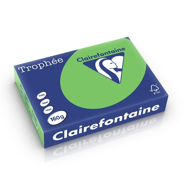 Clairefontaine grass green A4 coloured paper, 160gsm (250 sheets) 1025C 250264 - 1