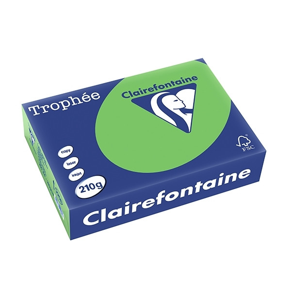 Clairefontaine grass green A4 coloured paper, 210gsm (250 sheets) 2208PC 250103 - 1