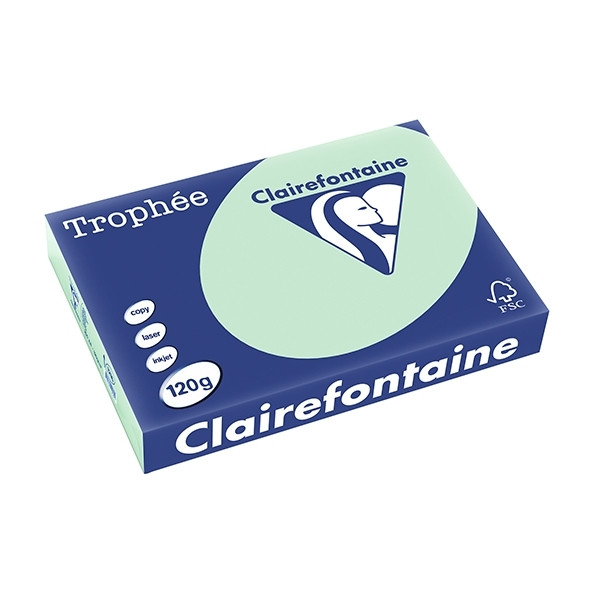 Clairefontaine green A4 coloured paper, 120gsm (250 sheets) 1216C 250078 - 1