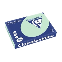 Clairefontaine green A4 coloured paper, 120gsm (250 sheets) 1216C 250078