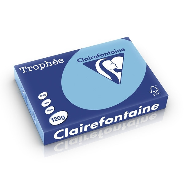 Clairefontaine lavender A4 coloured paper, 120gsm (250 sheets) 1245C 250203 - 1