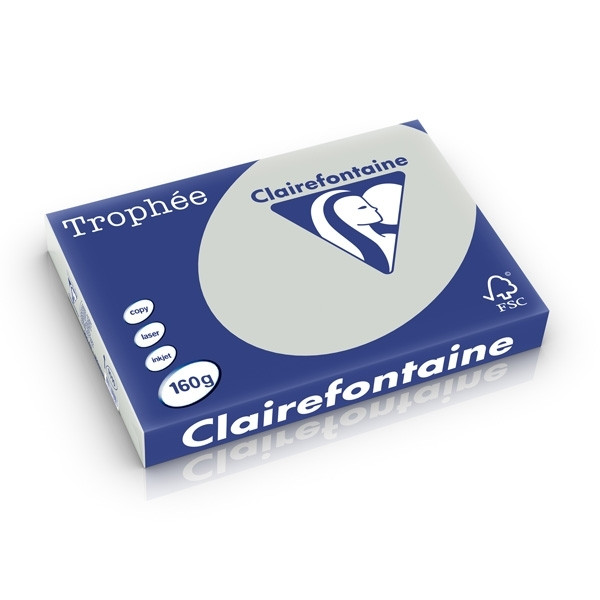 Clairefontaine light grey A3 coloured paper, 160gsm (250 sheets) 1010C 250268 - 1