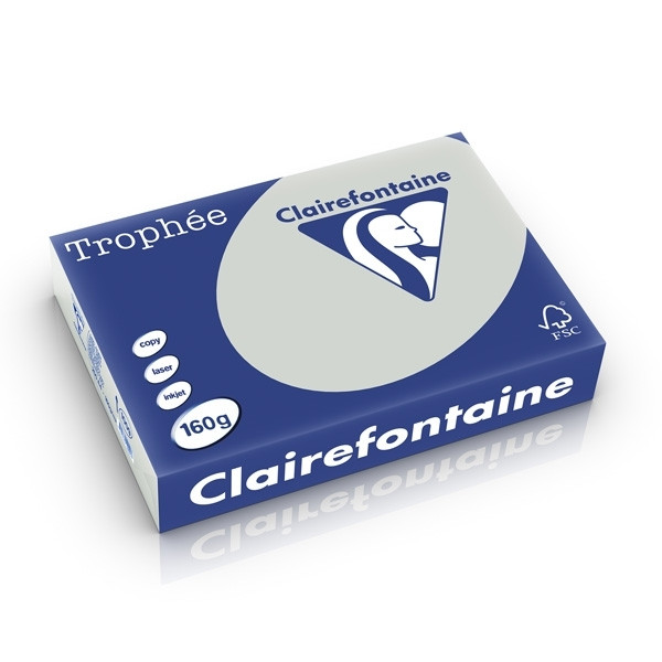 Clairefontaine light grey A4 coloured paper, 160gsm (250 sheets) 1009C 250232 - 1