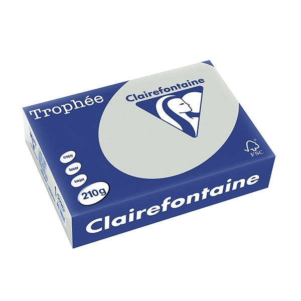 Clairefontaine light grey A4 paper coloured, 210gsm (250 sheets) 2226C 250088 - 1