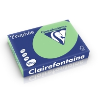 Clairefontaine natural green A4 coloured paper, 120gsm (250 sheets) 1228C 250206