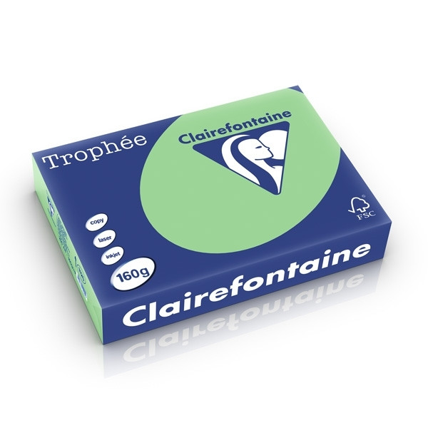 Clairefontaine natural green A4 coloured paper, 160 gsm (250 sheets) 1120PC 250250 - 1