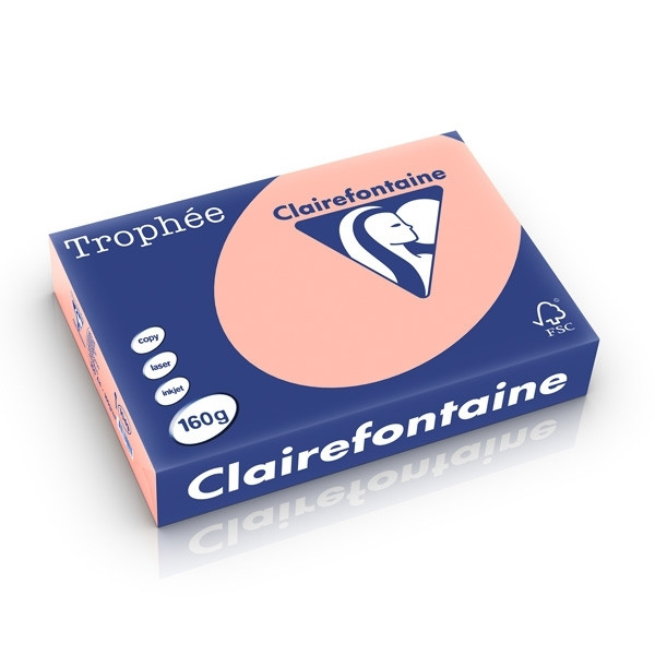 Clairefontaine peach A4 coloured paper, 160 gsm (250 sheets) 1049C 250238 - 1