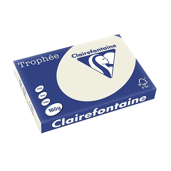 Clairefontaine pearl grey A3 coloured paper, 160gsm (250 sheets) 1065C 250143 - 1