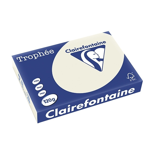 Clairefontaine pearl grey A4 coloured paper, 120gsm (250 sheets) 1201PC 250070 - 1