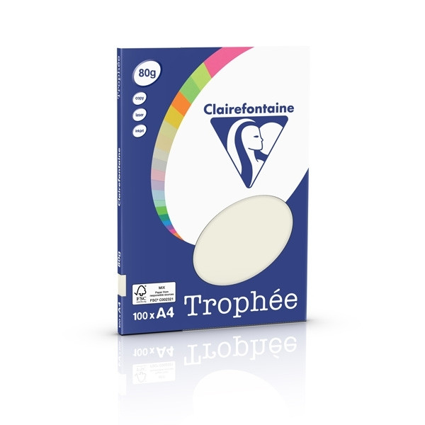 Clairefontaine pearl grey A4 coloured paper, 80gsm (100 sheets) 4118C 250034 - 1