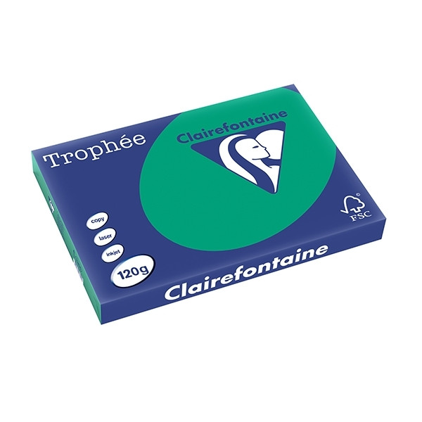 Clairefontaine pine green A3 coloured paper, 120gsm (250 sheets) 1384PC 250142 - 1