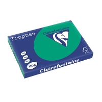 Clairefontaine pine green A3 coloured paper, 120gsm (250 sheets) 1384PC 250142