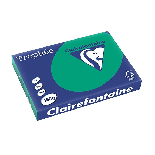 Clairefontaine pine green A3 coloured paper, 160 gsm (250 sheets) 1046PC 250160 - 1