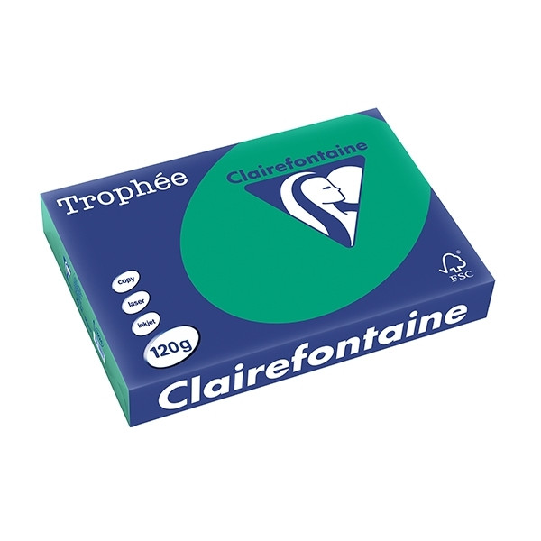 Clairefontaine pine green A4 coloured paper, 120 gsm (250 sheets) 1224PC 250086 - 1