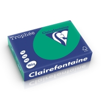 Clairefontaine pine green A4 coloured paper, 160gsm (250 sheets) 1019PC 250266