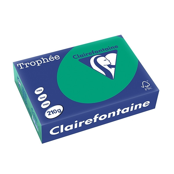 Clairefontaine pine green A4 coloured paper, 210 gsm (250 sheets) 2213PC 250105 - 1