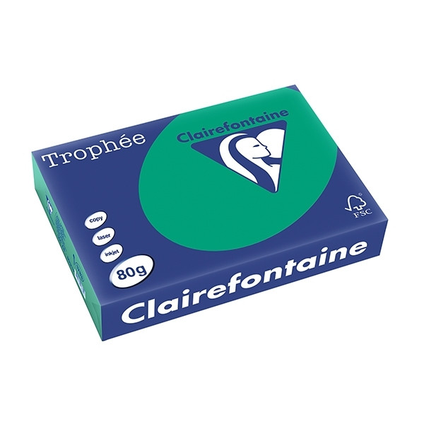 Clairefontaine pine green A4 coloured paper, 80gsm (500 sheets) 1783C 250062 - 1