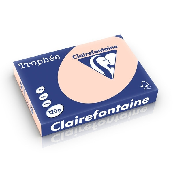 Clairefontaine salmon A4 coloured paper, 120gsm (250 sheets) 1209C 250201 - 1