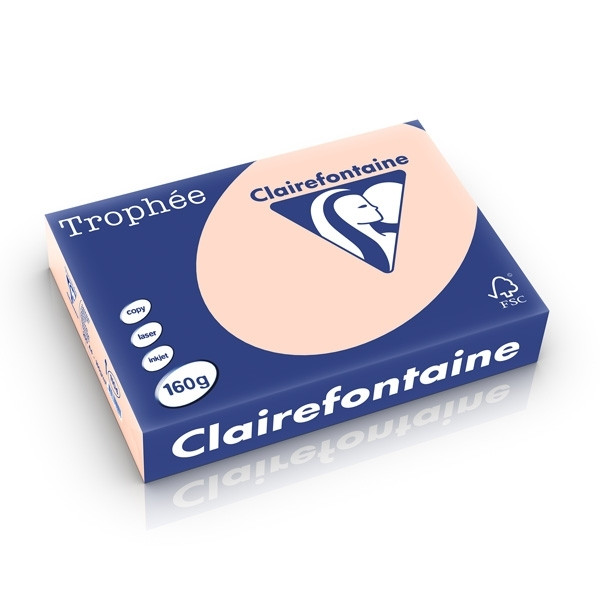 Clairefontaine salmon A4 coloured paper, 160gsm (250 sheets) 1104C 250242 - 1